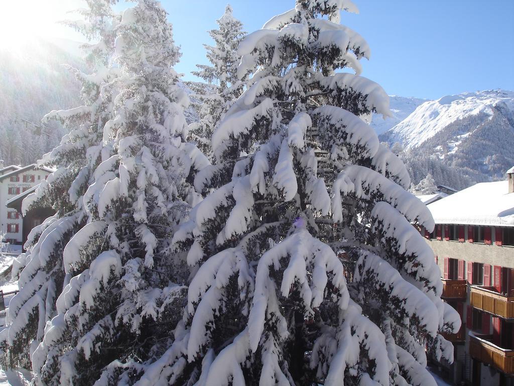 Ascot-zermatt